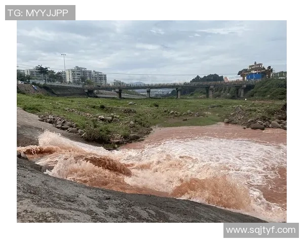 PETER牛头河道关键救援CFO频繁掉点导致上中野损失严重